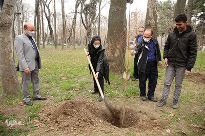کاشت درخت توسط هنرمندان در فرهنگسرای نیاوران