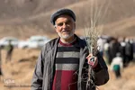 کاشت ۲۰۰ هزار نهال به همت جهادگران در خراسان جنوبی