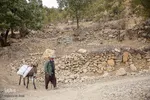آخرین وضعیت روستاهای زلزله زده اندیکا