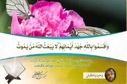 Tilawar Kur'ani Mai Tsarki Tare Da Wahid Wakili Dan Kasar Iran