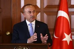 Turkish FM Lauds 'Brave' Palestinians at OIC Meeting