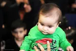 همایش شیرخوارگان حسینی در اهر
