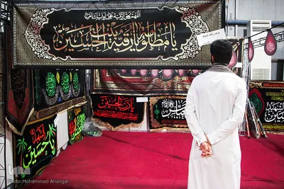 نمایشگاه «شمیم حسینی»