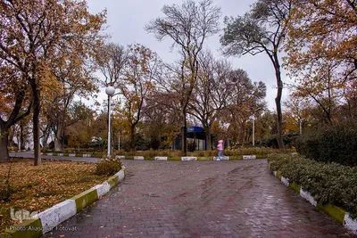 پاییز تبریز در فصل کرونا