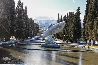 نخستین برف زمستانی در خراسان‌جنوبی