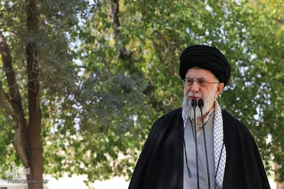 کاشت نهال در روز درختکاری