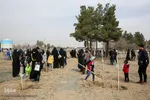 پویش سراسری درختکاری - مشهد
