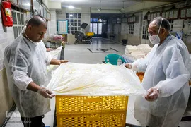 کرونا از شیراز می‌رود، مهربانی می‌ماند