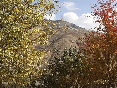 طبیعت بکر و پاییزی روستای انجرد شهرستان اهر