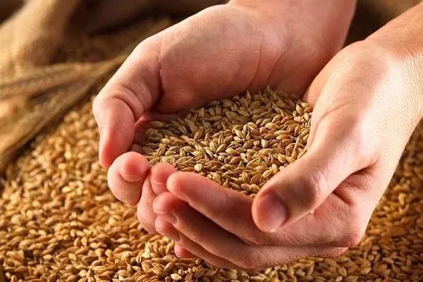 مساعدت بیش از ۴ میلیارد تومانی مودیان زکات در چالوس