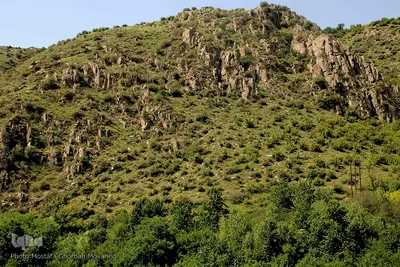 طبیعت بهاری جاده اهر به مشگین شهر