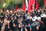 تجمع شیرازی‌های غیور علیه ضاربین بانوی آمر