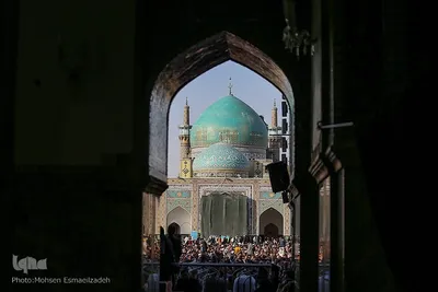 دعای عرفه در حرم حضرت معصومه(س)