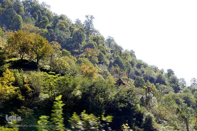 طبیعت زیبای گردنه «حیران» در آستارا