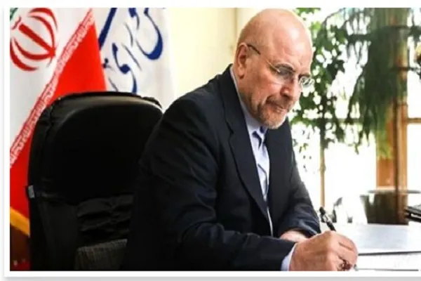 کمیسیون صنایع و معادن مجلس با فوریت علل و متخلفان حادثه را شناسایی کند