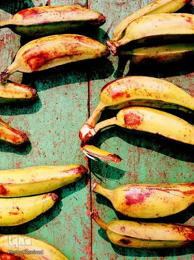تصاویر برگزیده هفته نشنال‌جئوگرافیک