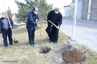 مراسم روز درختکاری در دانشگاه صنعتی سهند‎‎