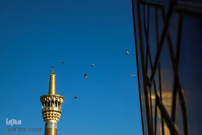 بازگشایی حرم مطهر رضوی