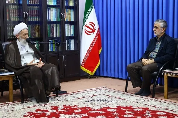 پیشروی باید براساس عقلانیت و حکمت باشد
