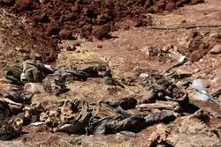 Découverte d'une nouvelle fosse commune en Irak