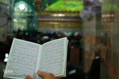 حرم فاطمه معصومه(س) در شب میلاد امام علی(ع)