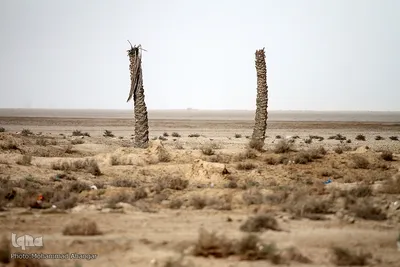 کمترین تحریری از یک زندگانی