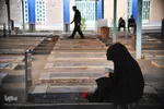 اینجا شمعی روشن است 