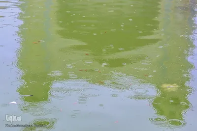 بارش رحمت الهی بر گلدسته های مسجد تاریخی وکیل شیراز‎‎