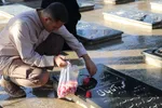 ایستگاه صلواتی کمیته خادمین الشهداء ملایر‎