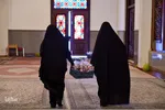 سیب بهشتی‎‎
