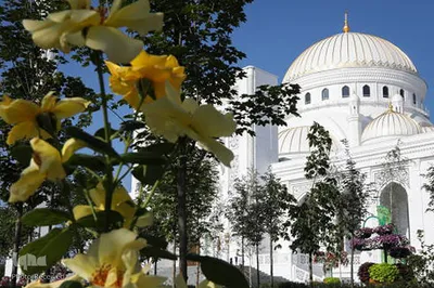 مسجد «فخر المسلمین»(افتخار مسلمانان) در شهر شالی جمهوری چچن
