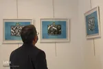 بیرجند در قاب انقلاب