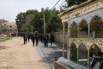 عکس| عزاداری روز عاشورا در شیراز