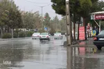 بارش باران در بیرجند
