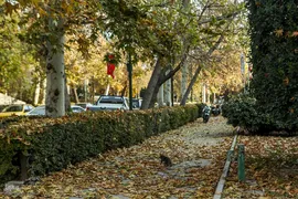 آخرین روزهای برگ‌ریزان دانشگاه تهران
