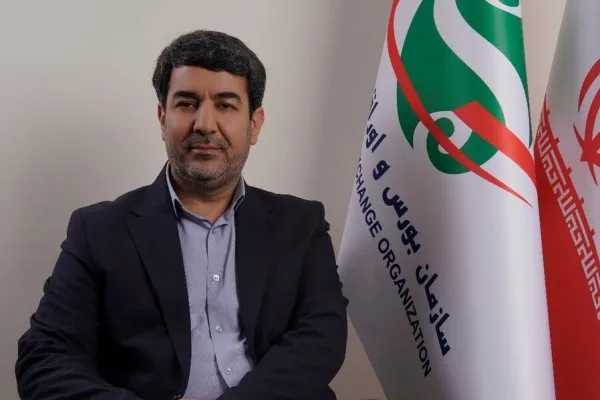 نوسان ذات بازار سرمایه است/ رفتار هیجانی، ضرر سهامداران را به دنبال دارد