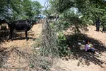 کمک‌های مردمی به سیل‌زدگان خوزستان