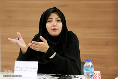 زهرا سعیدی‌مبارکه، نماینده مجلس شورای اسلامی در سمینار سیاست های توسعه‌ای سفر و گردشگری