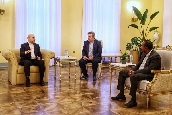 Dole ne mu yi amfani da damar BRICS don inganta dangantaka tsakanin Iran da Habasha