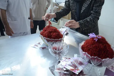 مرند قطب طلای سرخ آذربایجان شرقی