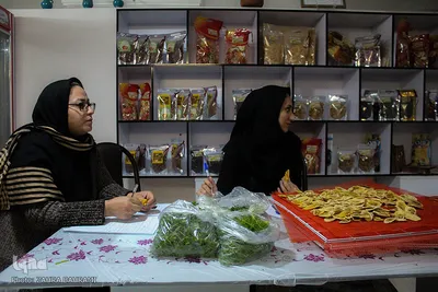 کارآفرینی از جنس امید و اراده؛ کارگاه تولید میوه خشک در اراک