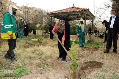 اصحاب رسانه شیراز در «پویش رویش»