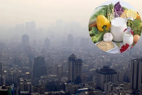 کاهش صدمات ناشی از آلودگی هوا با طب سنتی