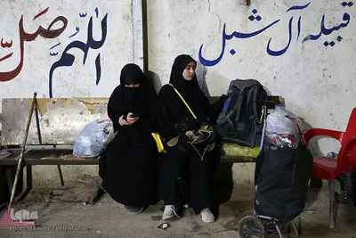 عشاق الحسین(ع) در طریق کربلا