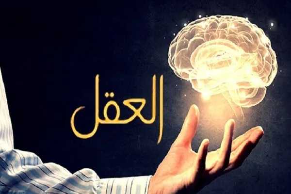 عقل المرء هو  أوثق الأصدقاء وأنصحهم وأخلصهم وأوفاهم