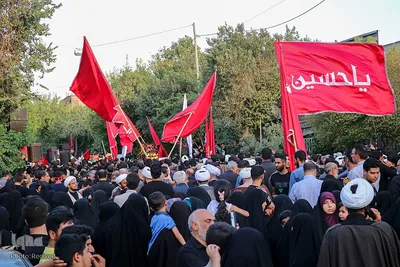 تجمع شیرازی‌های غیور علیه ضاربین بانوی آمر