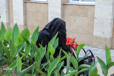 دعای روز عرفه در گلزار شهدای وادی رحمت تبریز