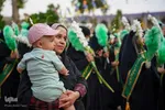 گلباران حرم شاهچراغ در شب ولادت امام رضا( ع‎‎)
