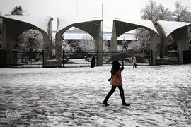 بارش برف زمستانی در تهران