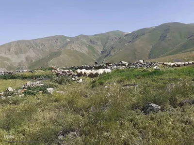 طبیعت زیبای قوشاداغ در اهر